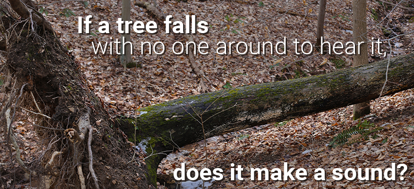 If a tree falls with no one around to hear it, does it make a sound?